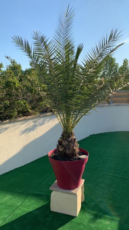 Le Jardin Des Hirondelles Bed & Breakfast Blanzaguet-Saint-Cybard Bagian luar foto